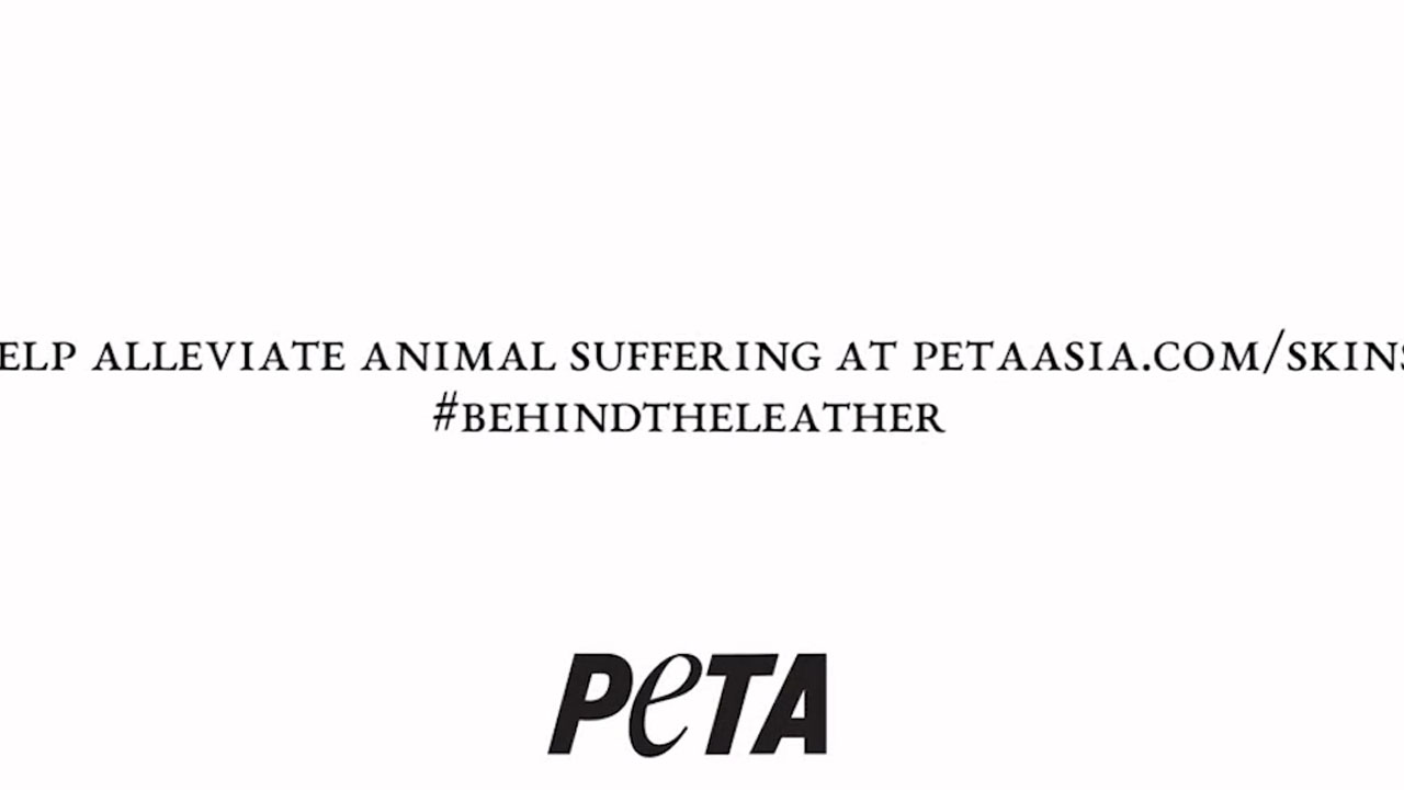 泰国PETA公益广告-泰国广告