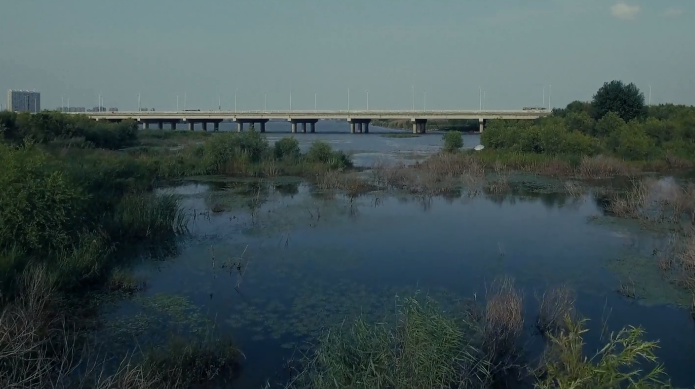航拍短片 《金河湾湿地》