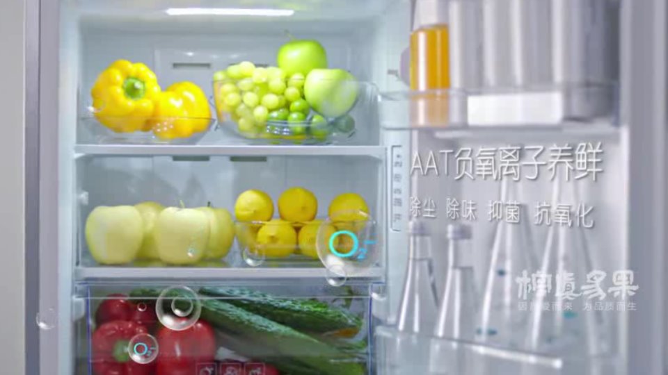 TCL三门冷冰箱宣传片