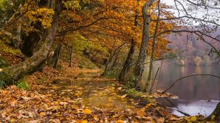 《秋至和谐》秋天元素色彩，理想的燃料