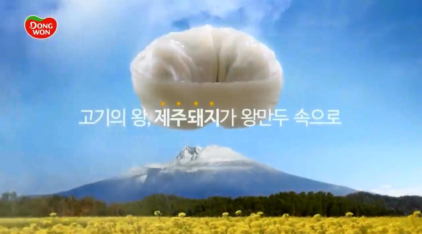 车胜元、尹宥善代言的韩国济州岛DONGWON猪肉水饺广告