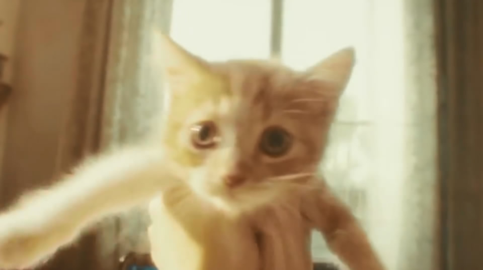 SONY索尼互动娱乐 《GRAVITY CAT》