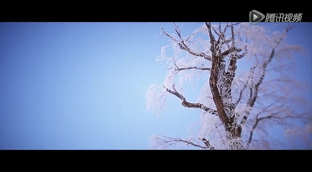 VIVA旅行家 -《21个雪的旅行 篇》
