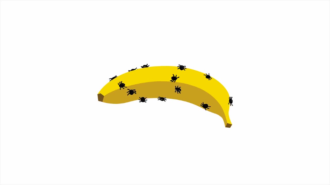 Bananas